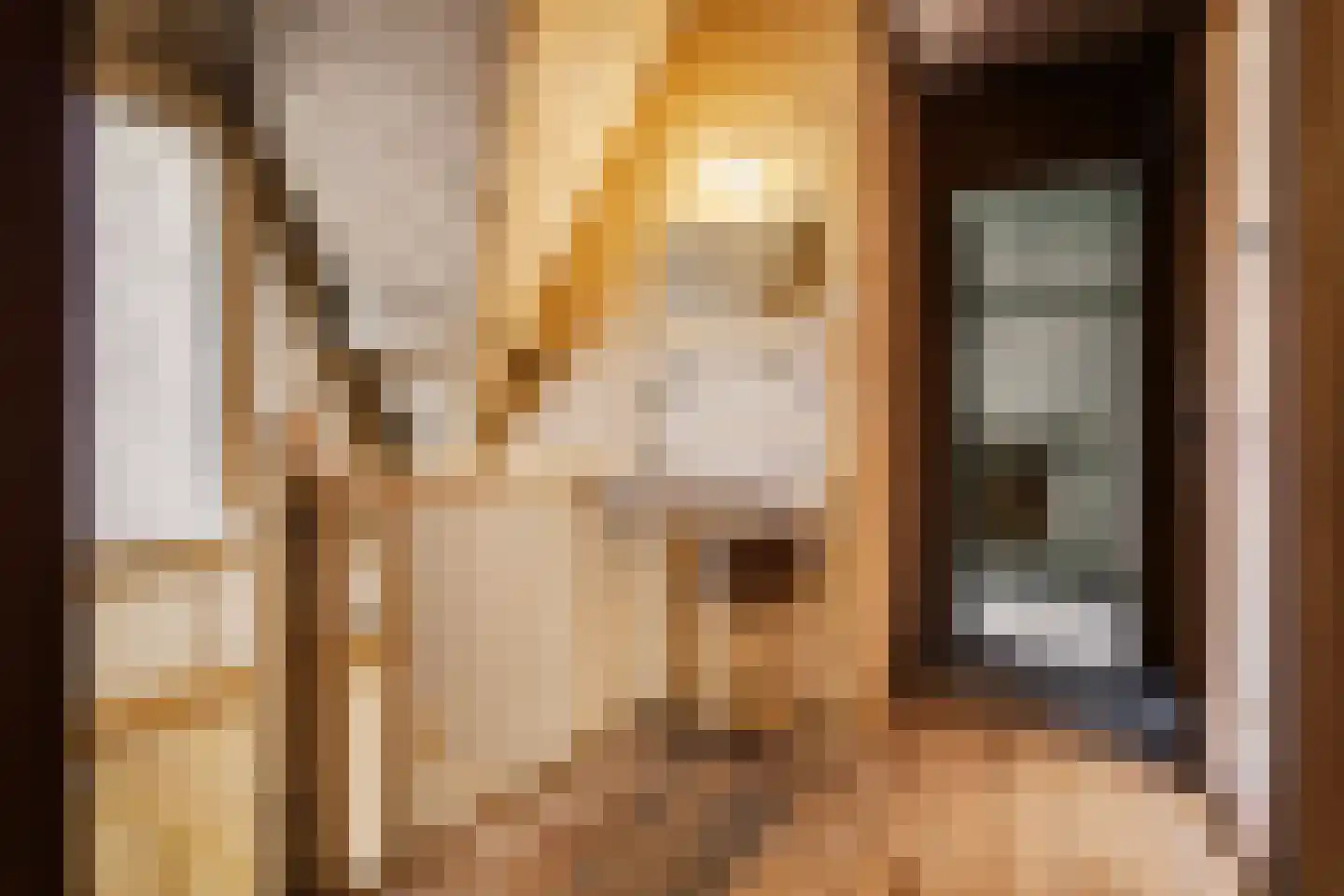 Oranjeplein 30 Haarlem thumbnail 37