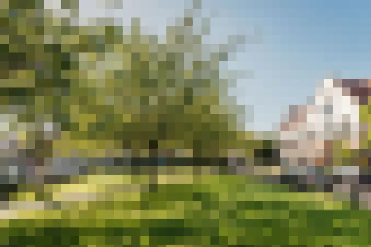 Oranjeplein 30 Haarlem thumbnail 47