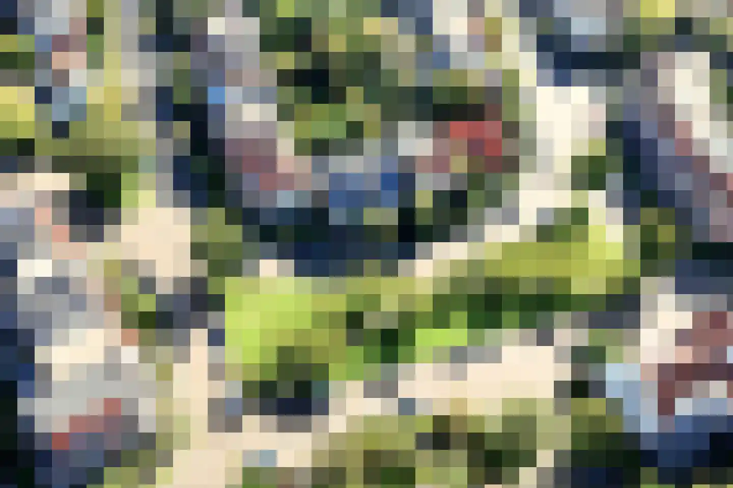 Oranjeplein 30 Haarlem thumbnail 5