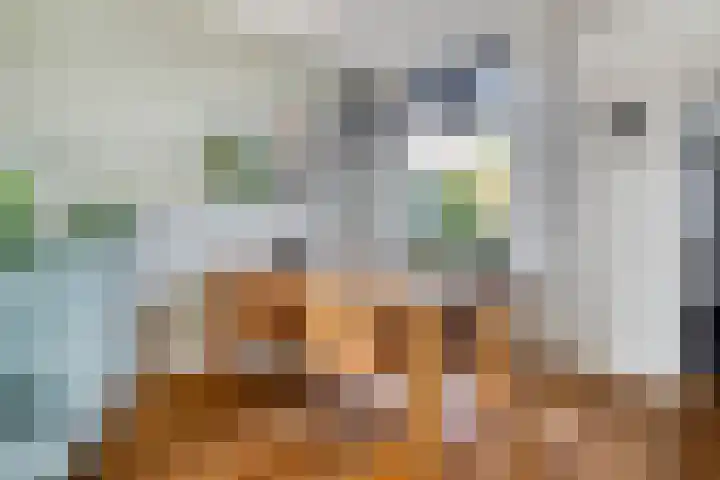 Oranjeplein 36 Goirle thumbnail 15