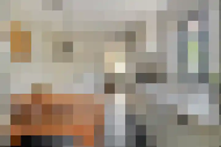Oranjeplein 36 Goirle thumbnail 21