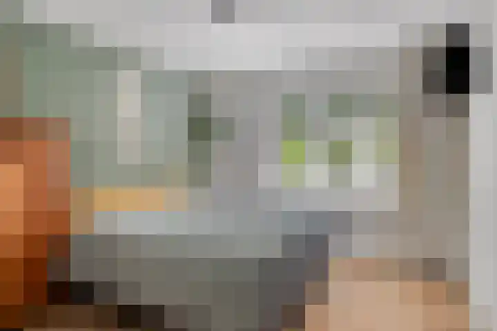 Oranjeplein 36 Goirle thumbnail 24