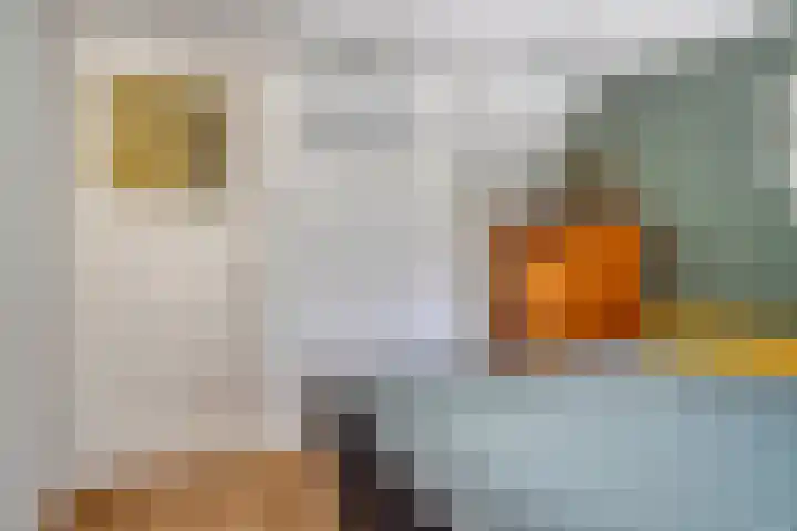 Oranjeplein 36 Goirle thumbnail 25