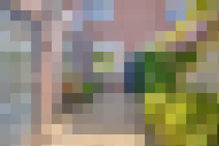 Oranjeplein 36 Goirle thumbnail 38