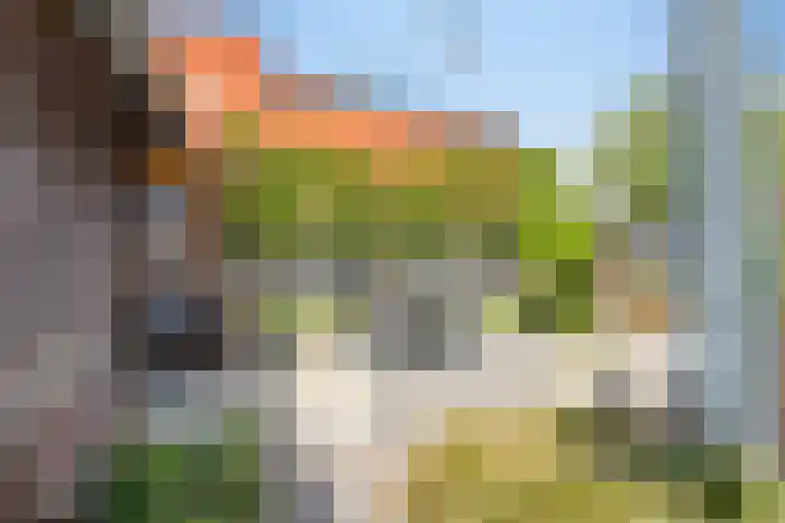 Oranjeplein 36 Goirle thumbnail 39