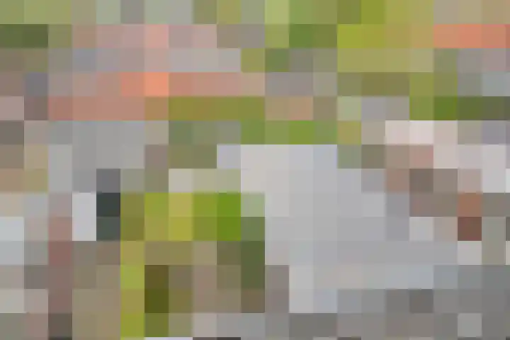 Oranjeplein 36 Goirle thumbnail 41