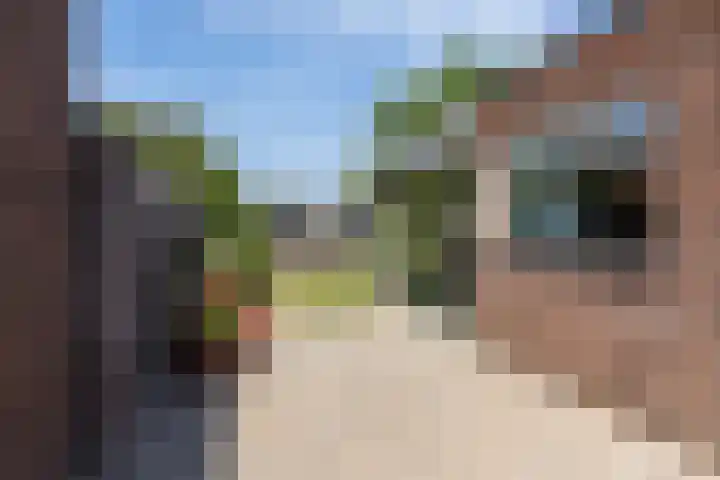 Oranjeplein 38 Goirle thumbnail 24