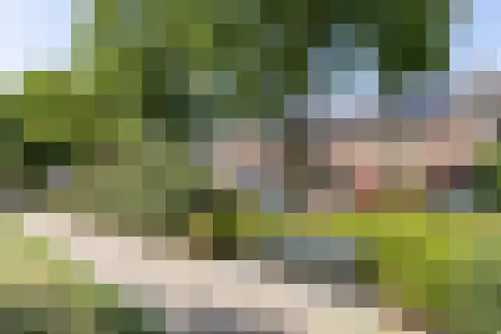 Oranjeplein 38 Goirle thumbnail 30