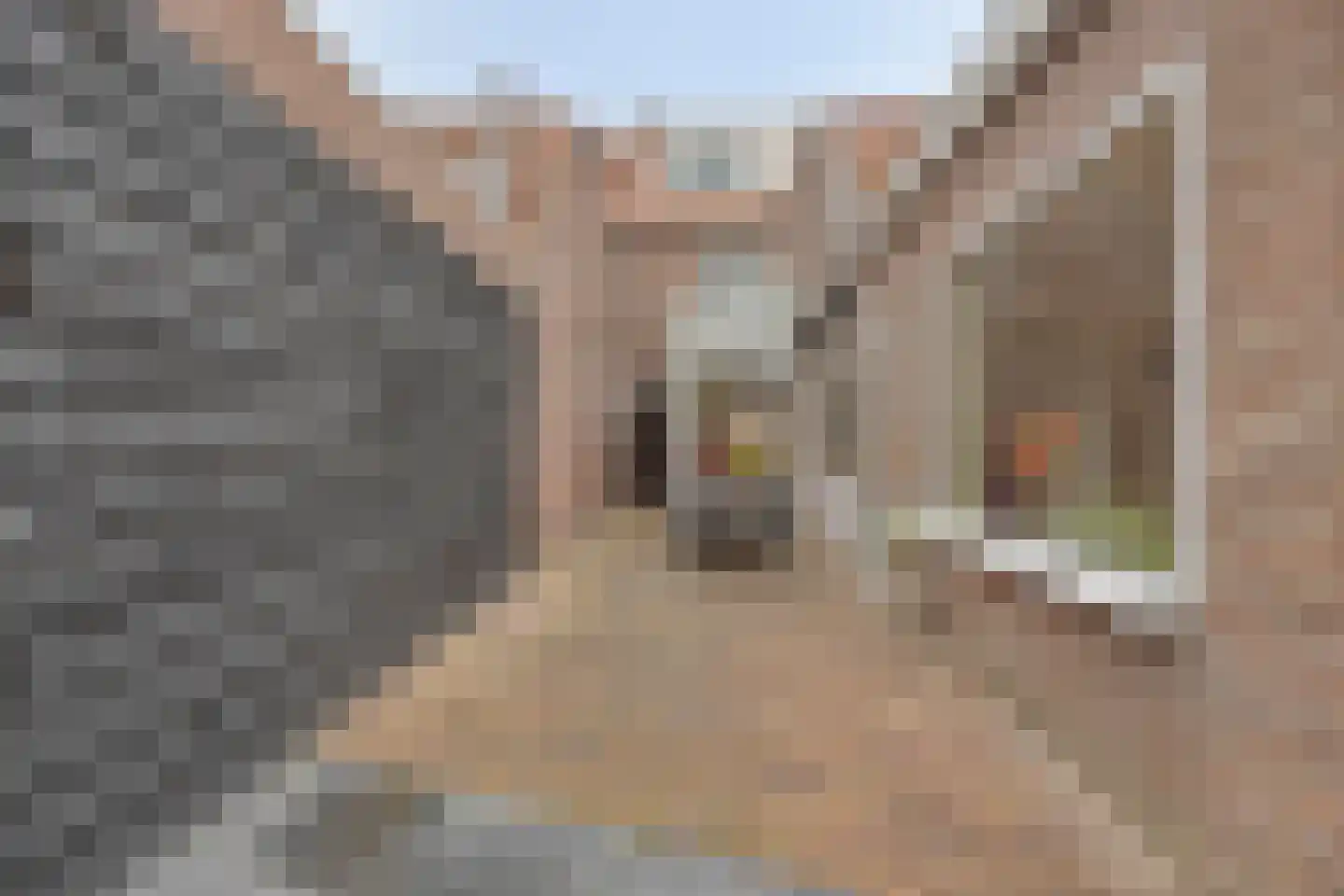 Oranjeplein 39 Goirle thumbnail 37