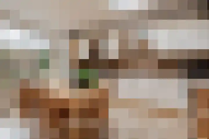 Oranjeplein 5 Berlicum thumbnail 13