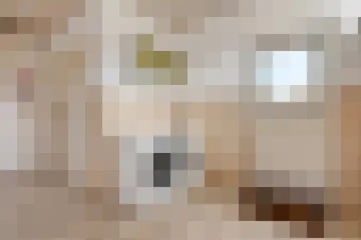 Oranjeplein 5 Berlicum thumbnail 15
