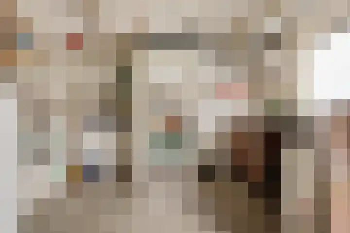 Oranjeplein 5 Berlicum thumbnail 31