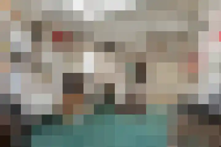 Oranjeplein 5 Berlicum thumbnail 32