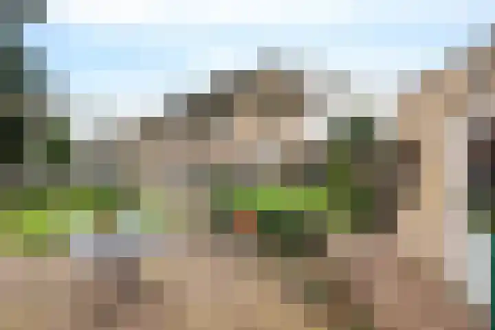 Oranjeplein 5 Berlicum thumbnail 33