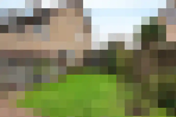 Oranjeplein 5 Berlicum thumbnail 34