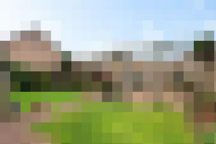 Oranjeplein 5 Berlicum thumbnail 35