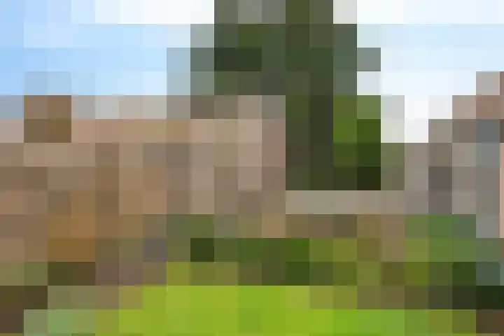Oranjeplein 5 Berlicum thumbnail 36
