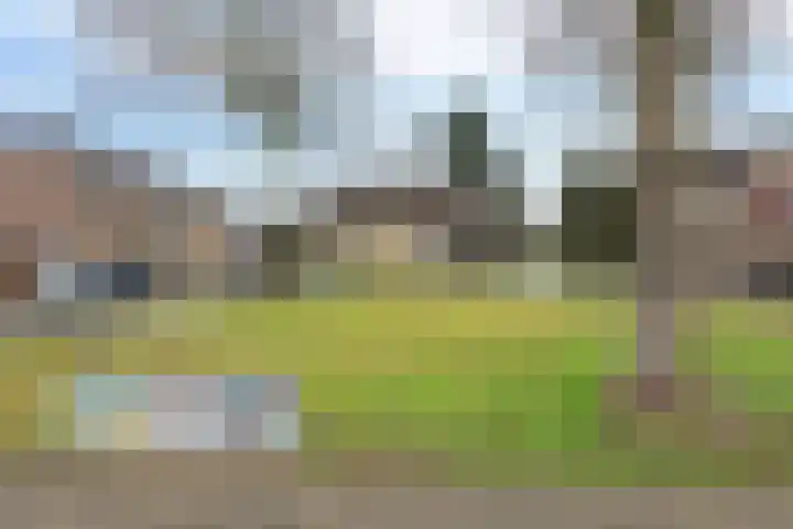 Oranjeplein 5 Berlicum thumbnail 39