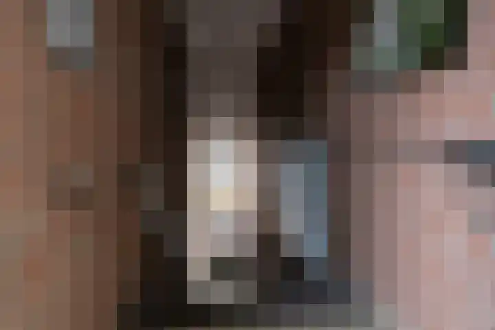 Oranjeplein 59 Loon op Zand thumbnail 22