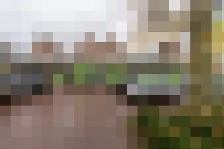 Oranjeplein 59 Loon op Zand thumbnail 4