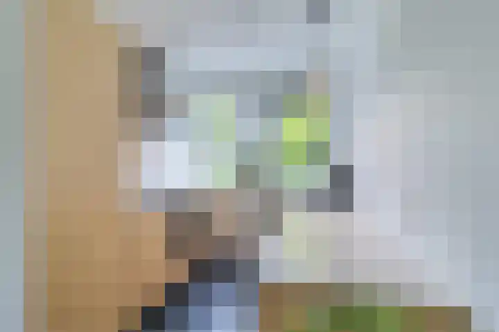 Oranjeplein 6 Gouda thumbnail 13