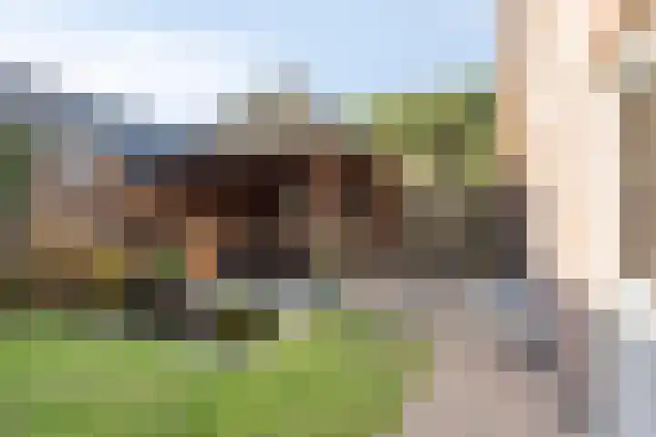 Oranjeplein 6 Mariahout thumbnail 10