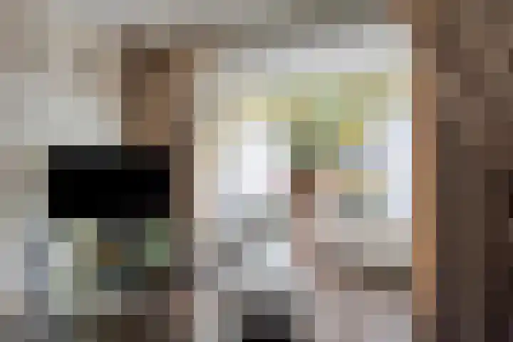 Oranjeplein 6 Mariahout thumbnail 14