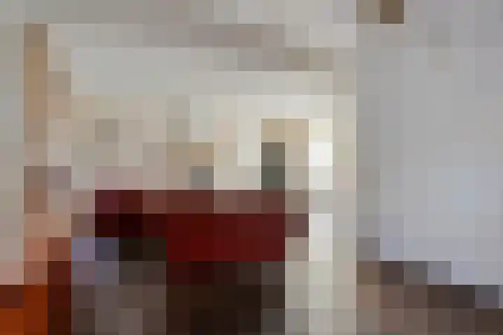 Oranjeplein 6 Mariahout thumbnail 18