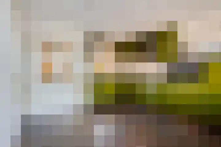 Oranjeplein 6 Mariahout thumbnail 20