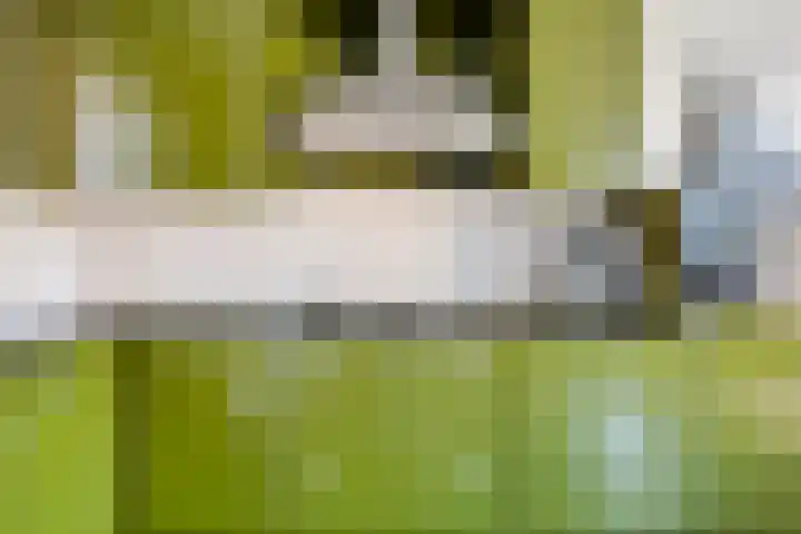 Oranjeplein 6 Mariahout thumbnail 21