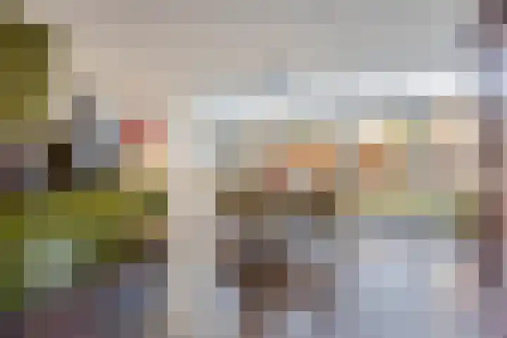 Oranjeplein 6 Mariahout thumbnail 22