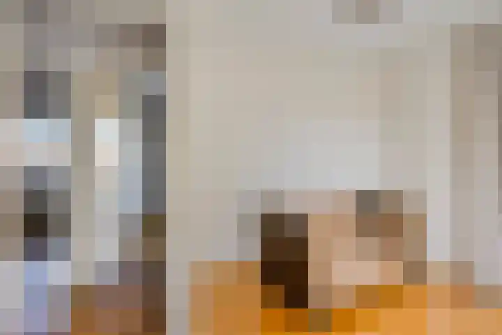 Oranjeplein 6 Mariahout thumbnail 34