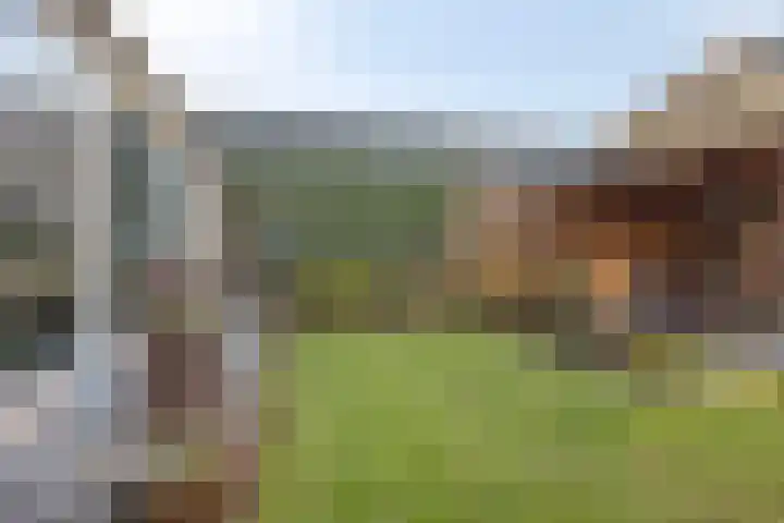 Oranjeplein 6 Mariahout thumbnail 38