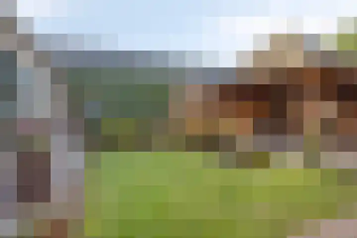 Oranjeplein 6 Mariahout thumbnail 39