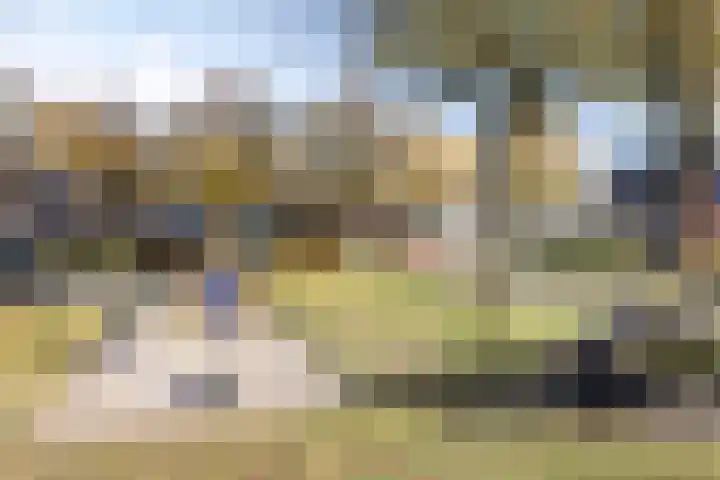 Oranjeplein 6 Mariahout thumbnail 4