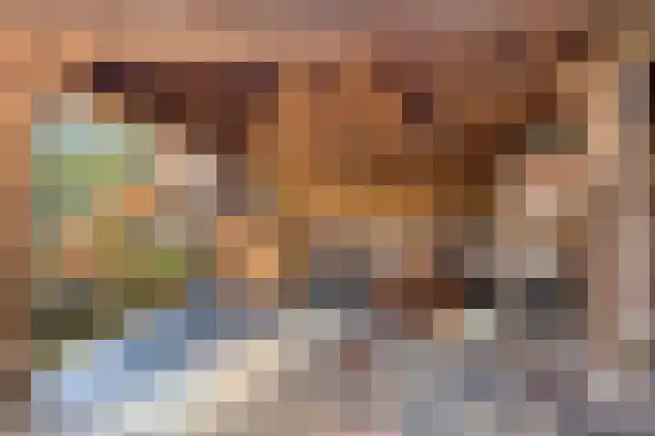 Oranjeplein 6 Mariahout thumbnail 40