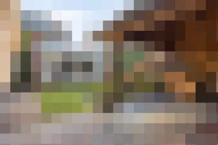 Oranjeplein 6 Mariahout thumbnail 41