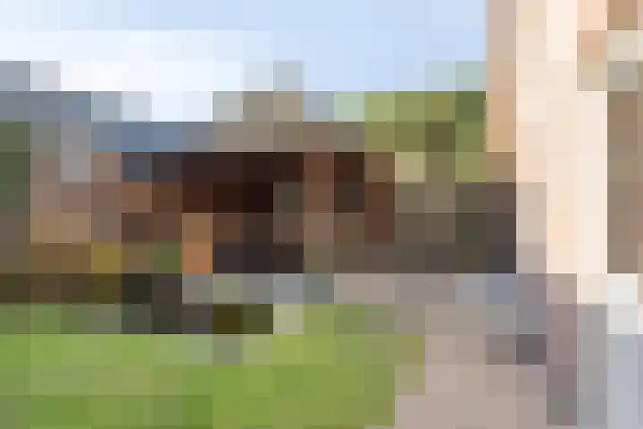 Oranjeplein 6 Mariahout thumbnail 42