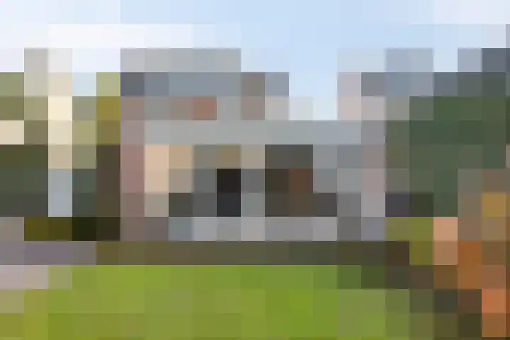 Oranjeplein 6 Mariahout thumbnail 43