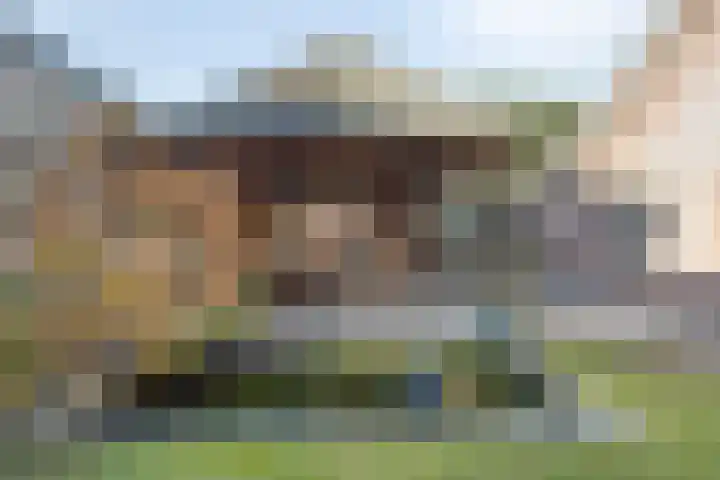 Oranjeplein 6 Mariahout thumbnail 45