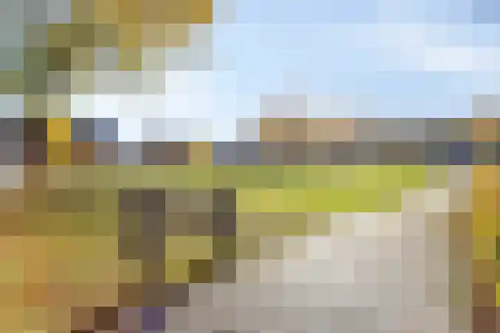 Oranjeplein 6 Mariahout thumbnail 48