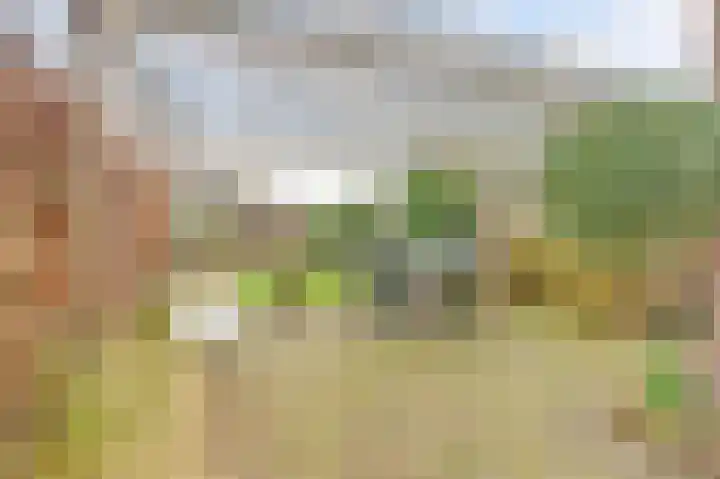 Oranjeplein 66 Goirle thumbnail 31