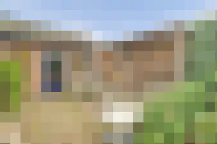Oranjeplein 66 Goirle thumbnail 34
