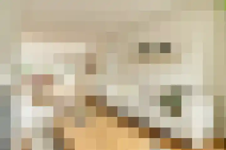 Oranjeplein 66 Goirle thumbnail 8