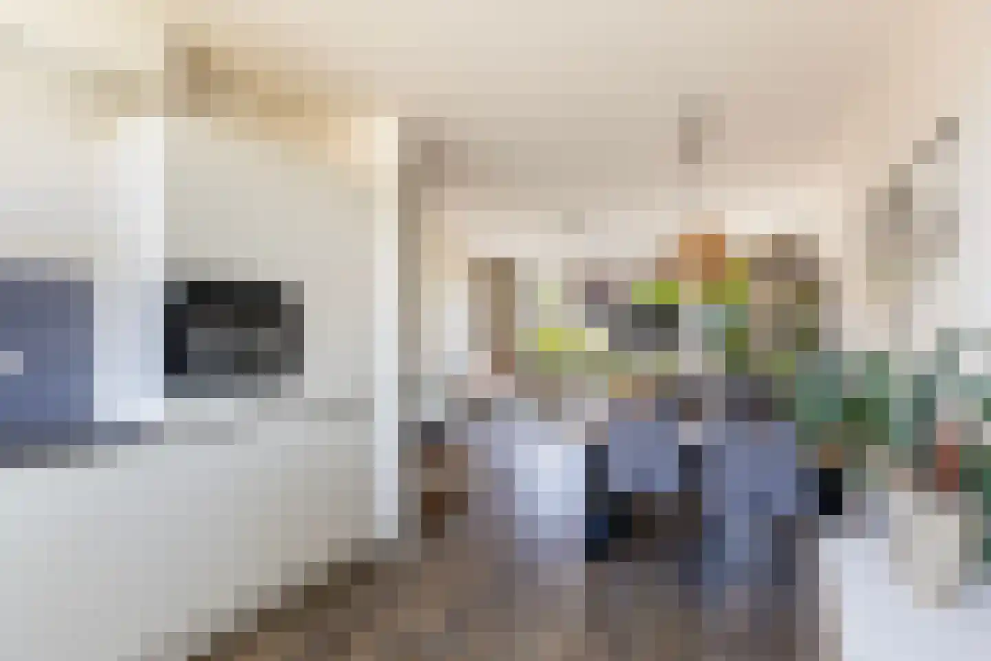 Oranjeplein 7 Klaaswaal thumbnail 13