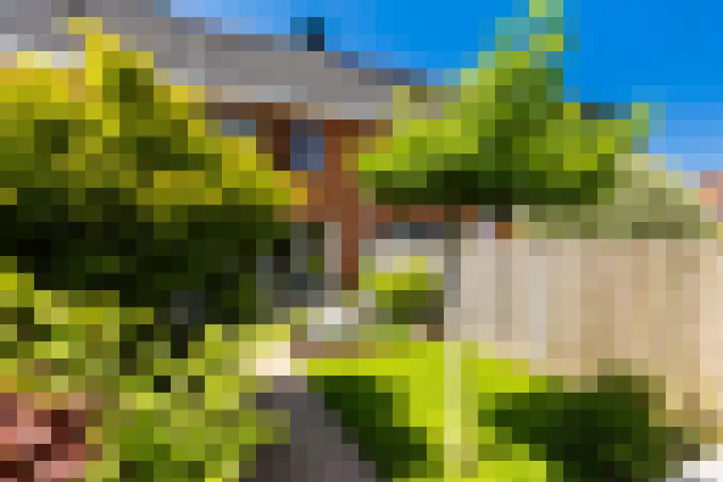 Oranjeplein 7 Klaaswaal thumbnail 36