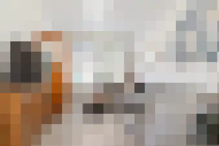 Oranjeplein 7 Rotterdam thumbnail 10