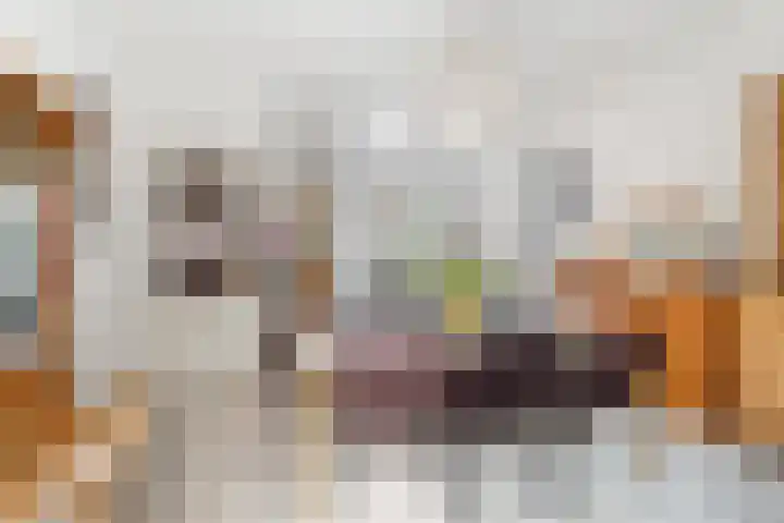 Oranjeplein 7 Rotterdam thumbnail 15