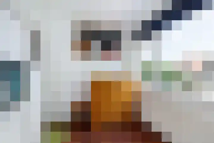 Oranjeplein 7 Rotterdam thumbnail 24