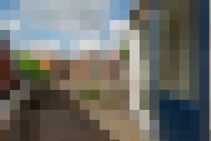 Oranjeplein 7 Rotterdam thumbnail 31